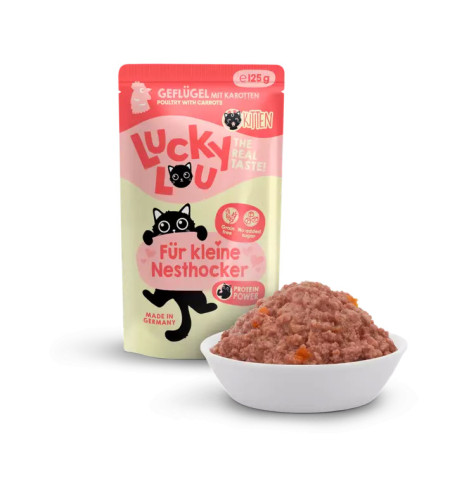 Lucky Lou kitten siipikarja