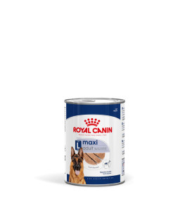Royal Canin Maxi Adult kastikkeessa