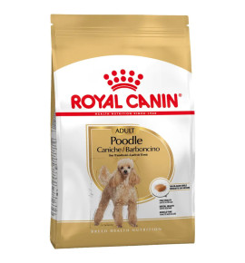 Royal Canin Poodle Adult