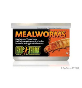 Exoterra jauhomadot 34g