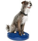 FitPaws Balance Discs 14" 36cm