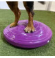K9 Balance disk 30cm
