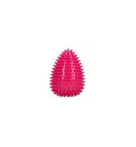 Dog Comets Cosmic egg L